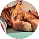 Puppy profile picture